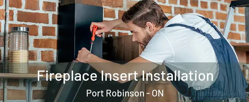  Fireplace Insert Installation Port Robinson - ON