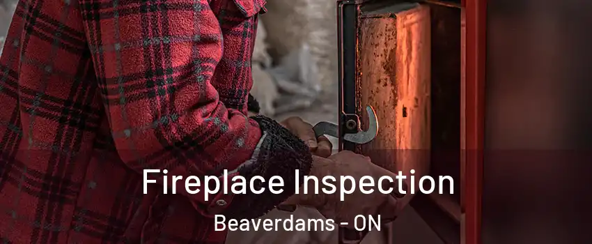  Fireplace Inspection Beaverdams - ON