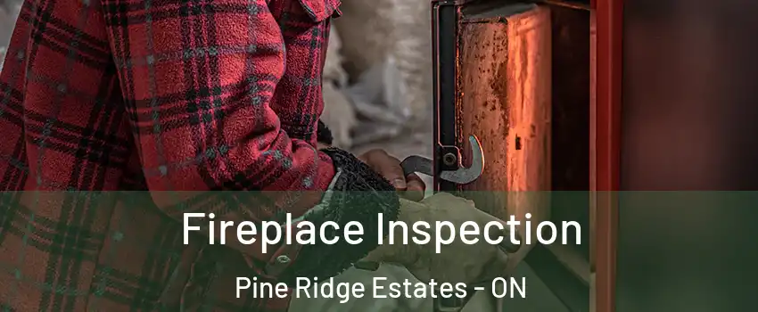  Fireplace Inspection Pine Ridge Estates - ON