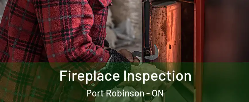  Fireplace Inspection Port Robinson - ON