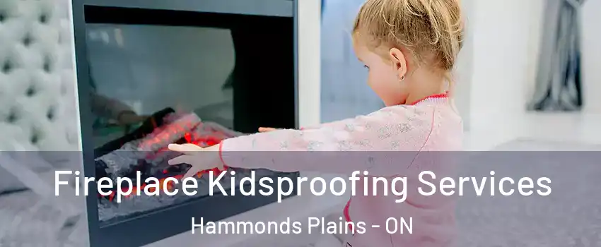  Fireplace Kidsproofing Services Hammonds Plains - ON