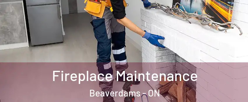  Fireplace Maintenance Beaverdams - ON