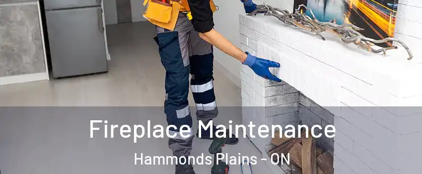  Fireplace Maintenance Hammonds Plains - ON