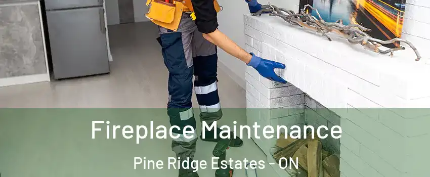  Fireplace Maintenance Pine Ridge Estates - ON