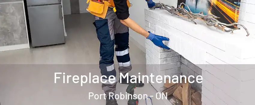  Fireplace Maintenance Port Robinson - ON