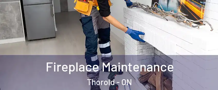  Fireplace Maintenance Thorold - ON