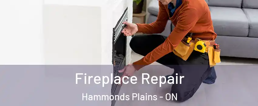  Fireplace Repair Hammonds Plains - ON
