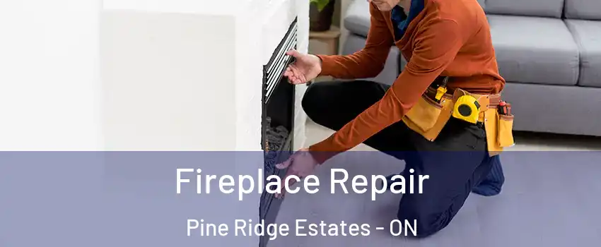  Fireplace Repair Pine Ridge Estates - ON