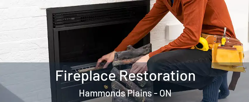  Fireplace Restoration Hammonds Plains - ON