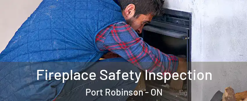  Fireplace Safety Inspection Port Robinson - ON