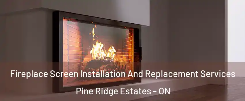  Fireplace Screen Installation And Replacement Services Pine Ridge Estates - ON