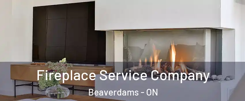  Fireplace Service Company Beaverdams - ON