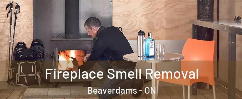  Fireplace Smell Removal Beaverdams - ON