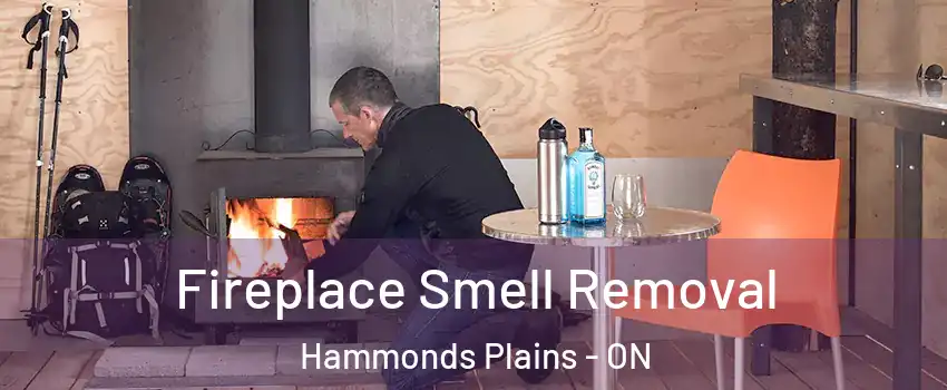  Fireplace Smell Removal Hammonds Plains - ON