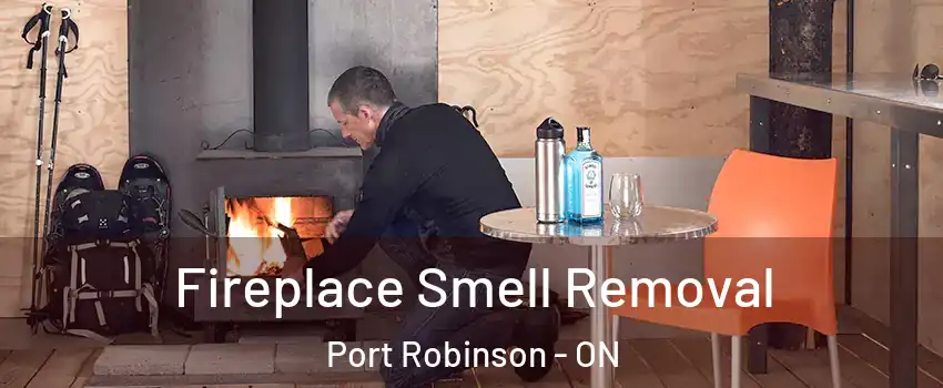  Fireplace Smell Removal Port Robinson - ON