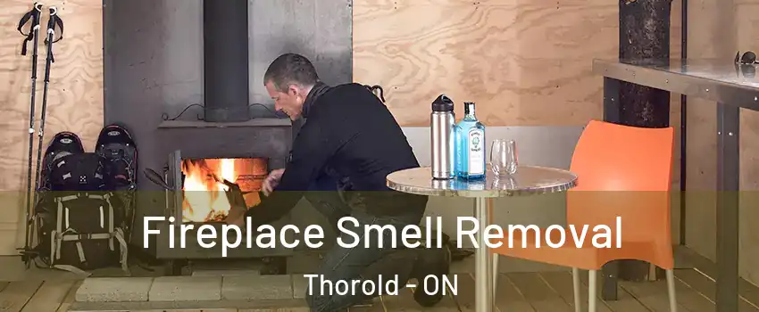  Fireplace Smell Removal Thorold - ON