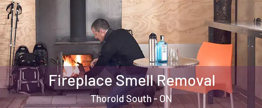  Fireplace Smell Removal Thorold South - ON