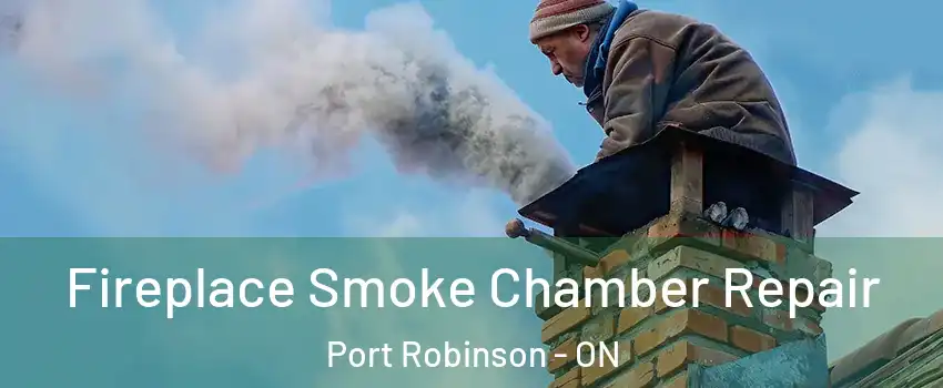  Fireplace Smoke Chamber Repair Port Robinson - ON