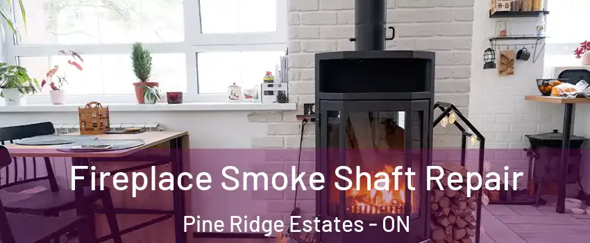  Fireplace Smoke Shaft Repair Pine Ridge Estates - ON