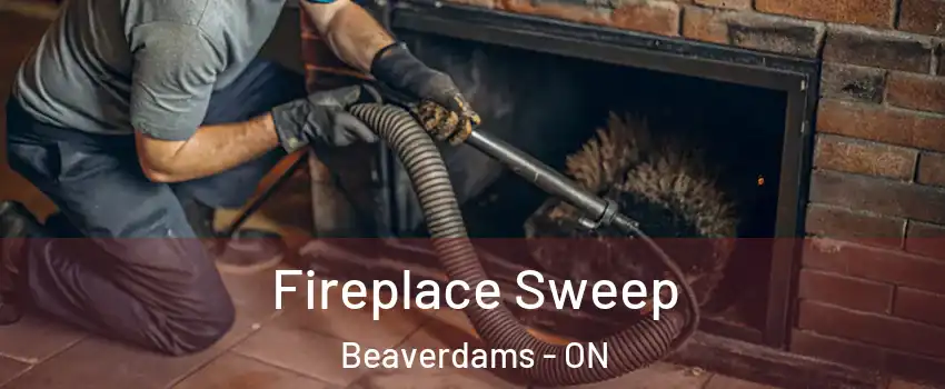  Fireplace Sweep Beaverdams - ON