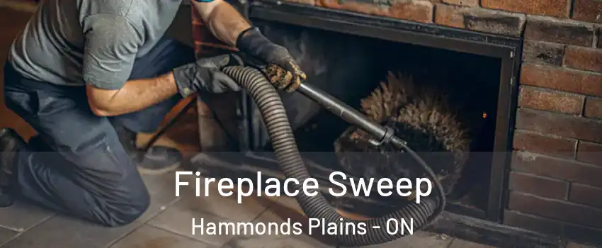  Fireplace Sweep Hammonds Plains - ON