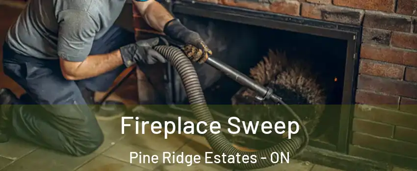  Fireplace Sweep Pine Ridge Estates - ON