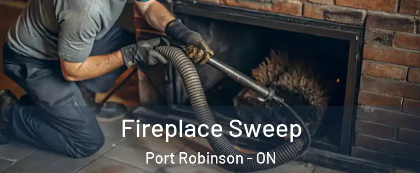  Fireplace Sweep Port Robinson - ON