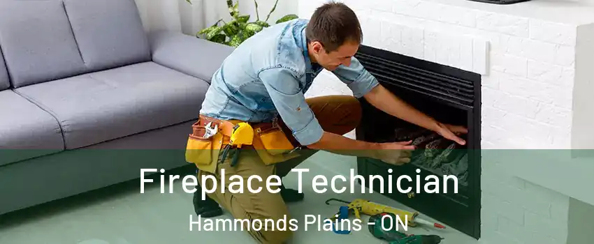  Fireplace Technician Hammonds Plains - ON