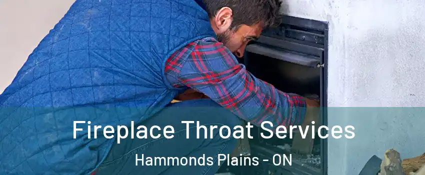  Fireplace Throat Services Hammonds Plains - ON