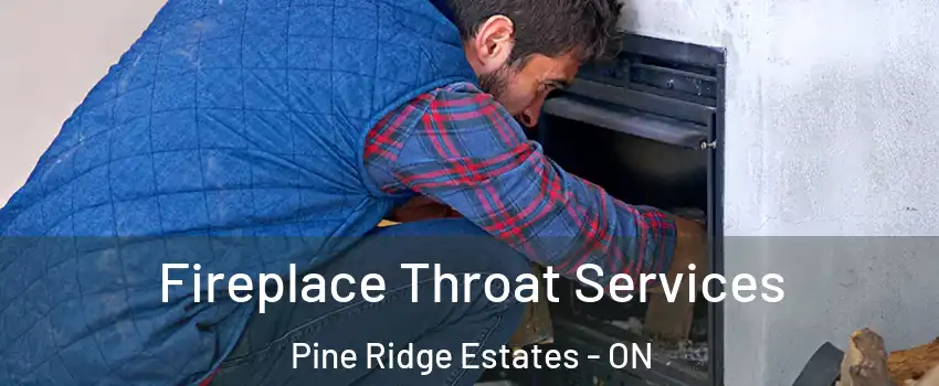  Fireplace Throat Services Pine Ridge Estates - ON