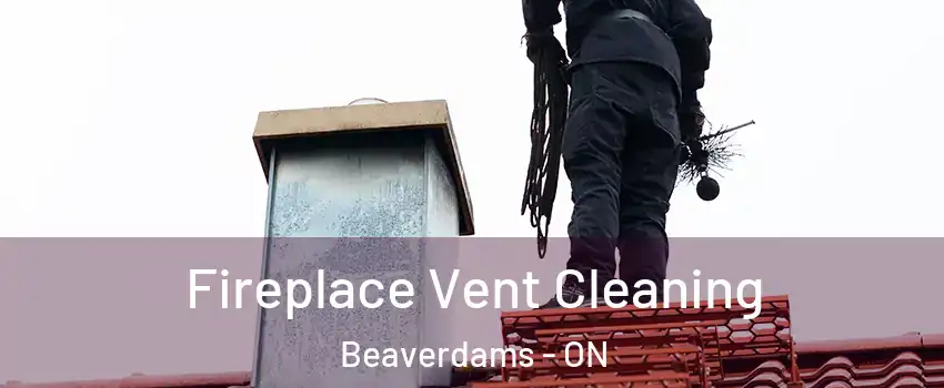  Fireplace Vent Cleaning Beaverdams - ON