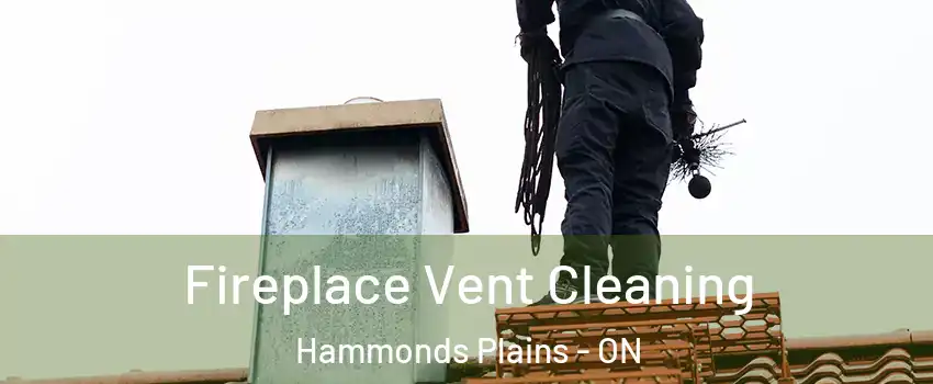  Fireplace Vent Cleaning Hammonds Plains - ON