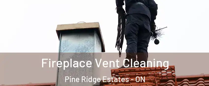  Fireplace Vent Cleaning Pine Ridge Estates - ON