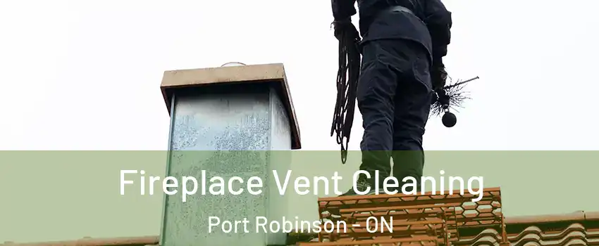  Fireplace Vent Cleaning Port Robinson - ON