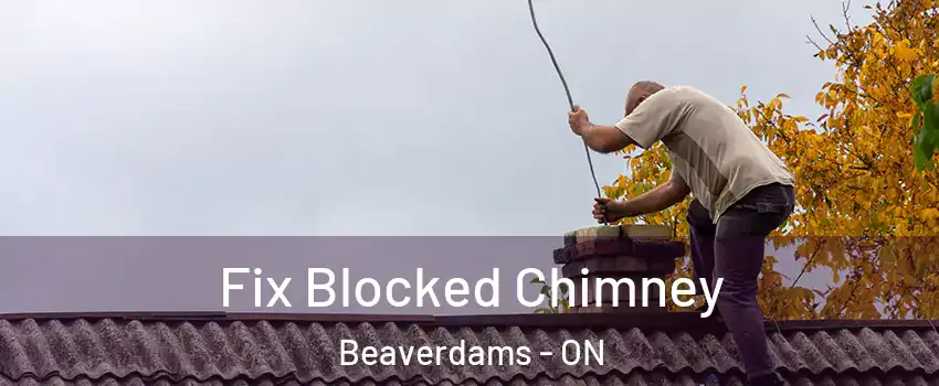  Fix Blocked Chimney Beaverdams - ON