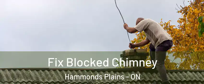  Fix Blocked Chimney Hammonds Plains - ON
