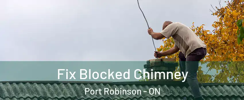  Fix Blocked Chimney Port Robinson - ON