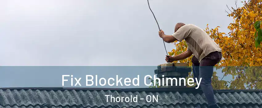  Fix Blocked Chimney Thorold - ON