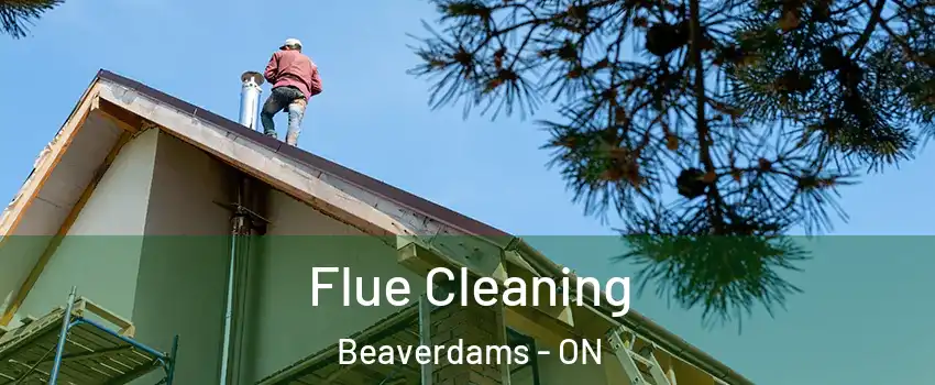  Flue Cleaning Beaverdams - ON