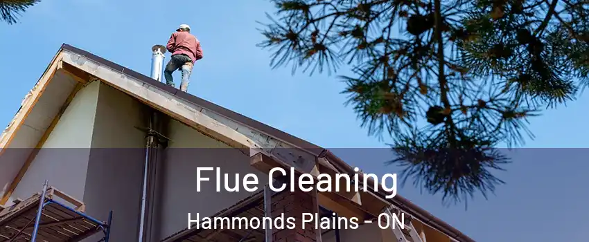  Flue Cleaning Hammonds Plains - ON