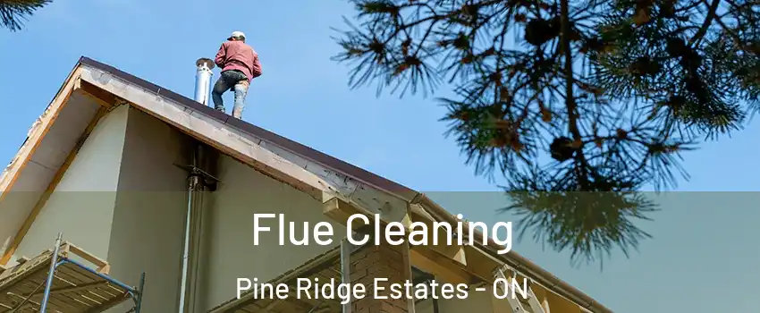  Flue Cleaning Pine Ridge Estates - ON
