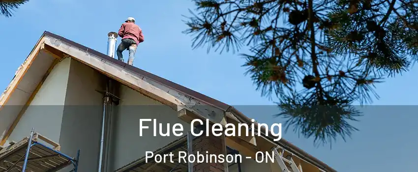  Flue Cleaning Port Robinson - ON