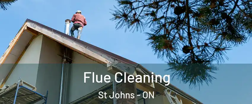  Flue Cleaning St Johns - ON