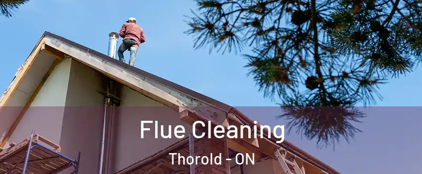  Flue Cleaning Thorold - ON