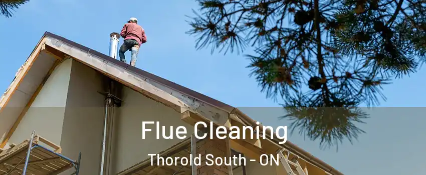  Flue Cleaning Thorold South - ON