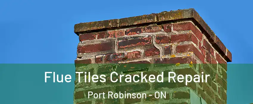  Flue Tiles Cracked Repair Port Robinson - ON