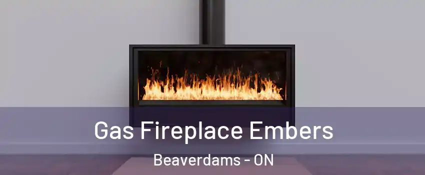  Gas Fireplace Embers Beaverdams - ON