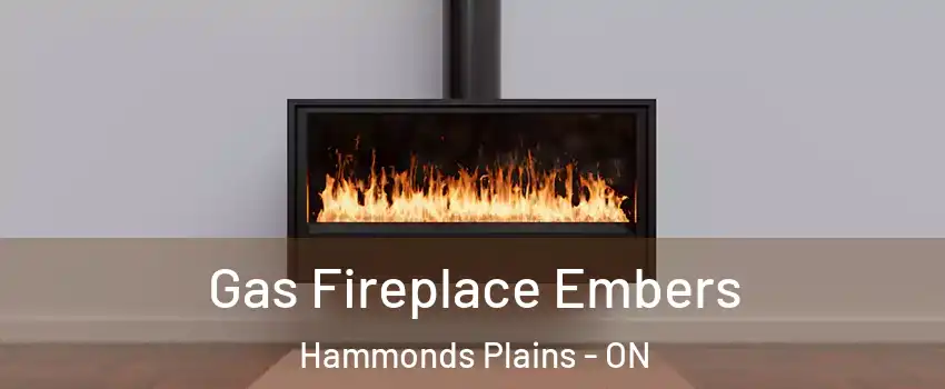  Gas Fireplace Embers Hammonds Plains - ON