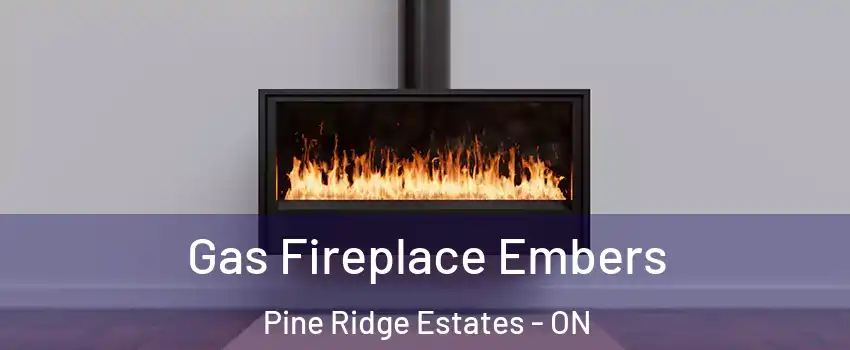  Gas Fireplace Embers Pine Ridge Estates - ON