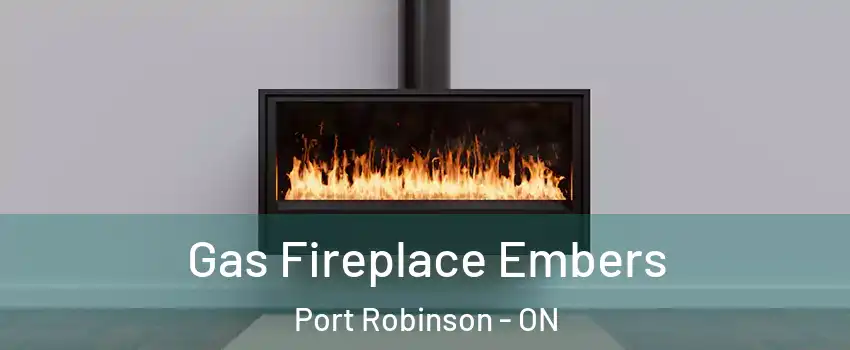  Gas Fireplace Embers Port Robinson - ON